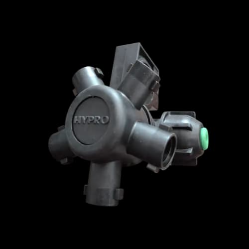 Foto de N305432